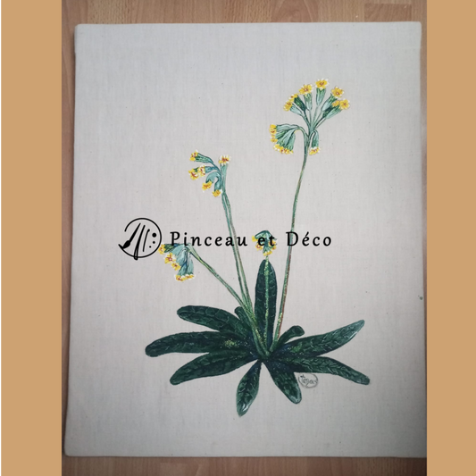 Coucous de printemps